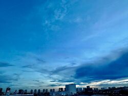 Bedok Residences (D16), Apartment #517381401
